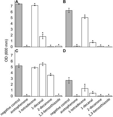 Antimicrobial Compounds in the Volatilome of Social Spider Communities